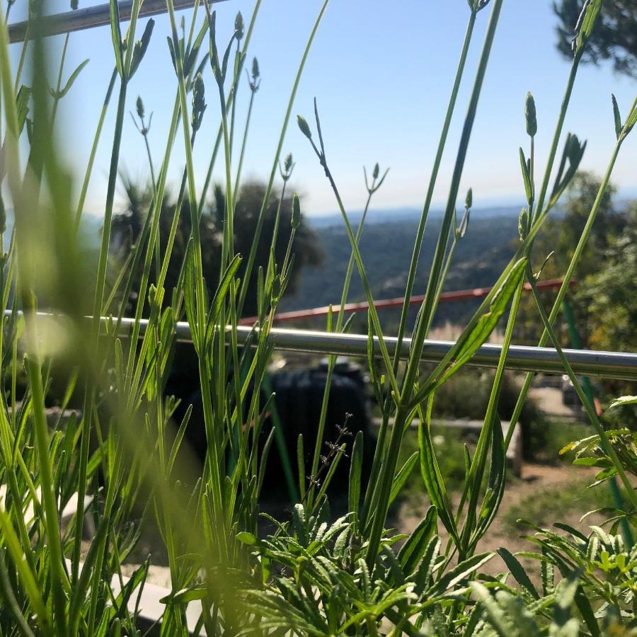 Aux Balcons du Riou avec vue mer 180 degrés Vence Esterno foto